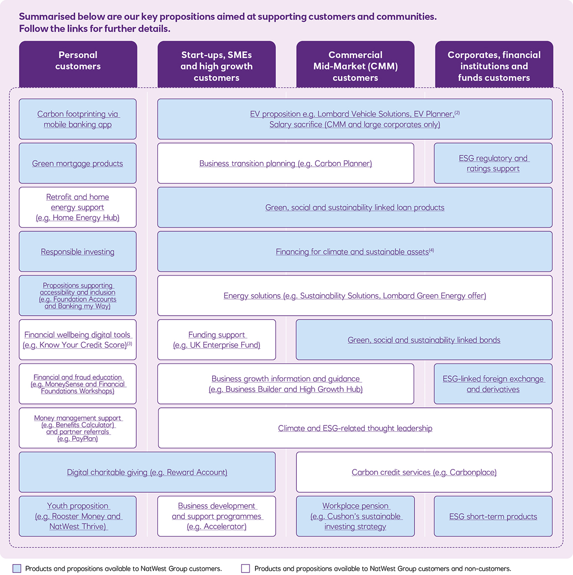 Diagram of key products and propositions