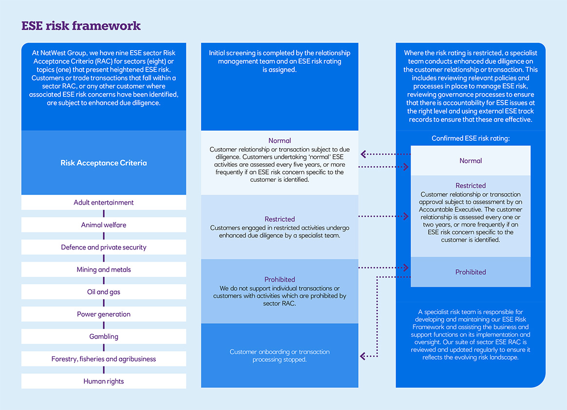 Diagram detailing the ESE framework