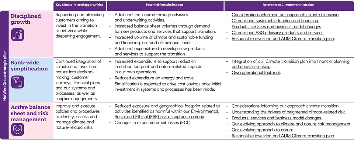 NatWest Group strategic pillars table