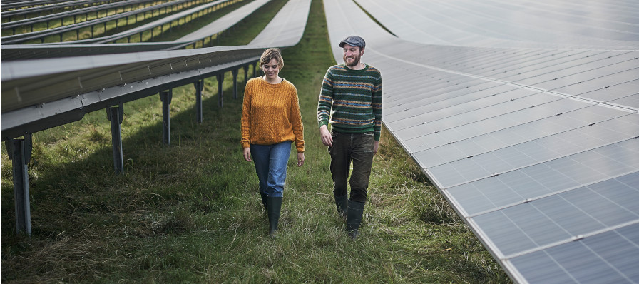 Image of two people walking in a solar panel farm